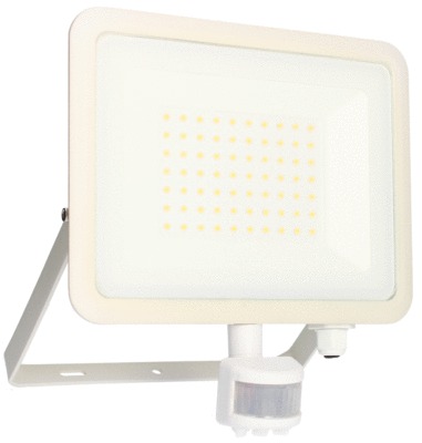 Projecteur LED extérieur détecteur de mouvements 50W blanc neutre IP44