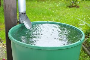 Récupérateur eau  de pluie