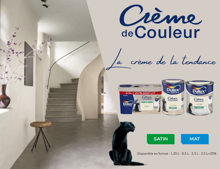 peinture crème de couleur akzo nobel marque dulux valentine pour chambre et séjour