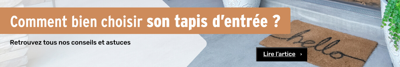 bien choisir son tapis d'entrée