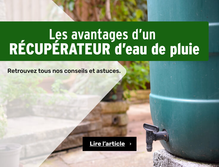 Avantages d'un récupérateur d'eau de pluie