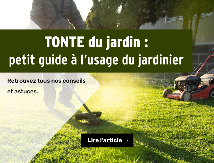 Petit guide à l'usage du jardinier - Tondre sa pelouse - Tonte du jardin