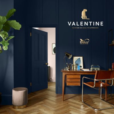 Gamme de peintures Dulux Valentine : Valentine