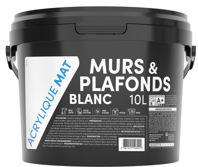 Peinture intérieure Murs et Plafonds Acrylique Blanc MAT 10 L TDP