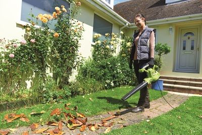 Aspirateur souffleur électrique 3000 W avec broyeur RBV3000CSV RYOBI