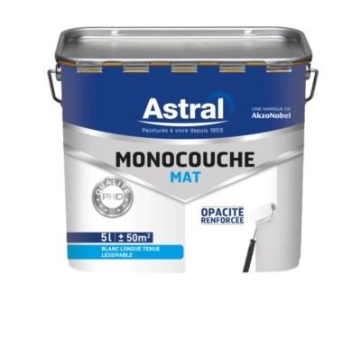 Peinture murs et plafonds monocouche blanc mat 5 l ASTRAL