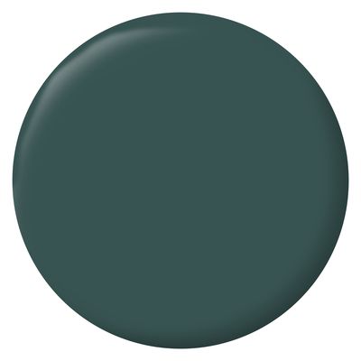 Peinture Intérieure Couleur - Satin - 0,5L - Vert Armerie - RIPOLIN