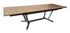 Table darwin 174/224/274x100 PRO LOISIR Livraison gratuite domicile