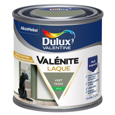 Peinture Boiseries Laque Acrylique Valénite Vert Taiga Satin 125 ML - DULUX VALENTINE