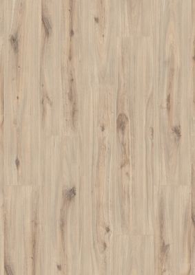 Sol stratifié décor chêne clair Organic 8x242x1285mm AC4 AJ TIMBER