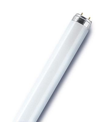 Tube fluo T8 culot G13 18 W = 1350 lumens blanc froid OSRAM