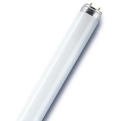 Tube fluo T8 culot G13 58 W = 5200 lumens blanc froid OSRAM