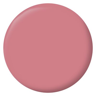 Peinture Velours Mur Boiserie Radiateur-0,5L-Rose Hibiscus - RIPOLIN