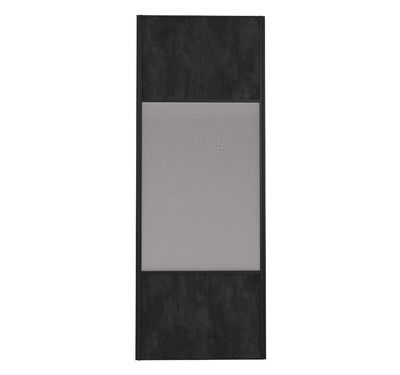 Porte de placard Miroir et Ardoise Profil noir H 248,5 x L 62,2 cm YNGENIO