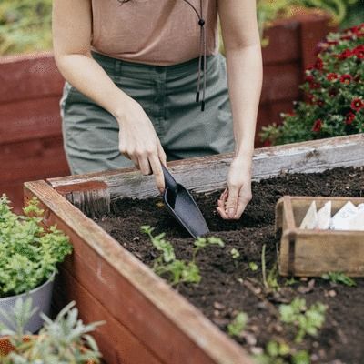 Déplantoir Solid65% recyclée