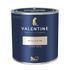 Peinture Valentine Mat Velouté Métal Platiné 1 L - DULUX VALENTINE