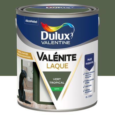 Peinture Boiseries Laque Acrylique Valénite Vert Tropical Satin 2 L - DULUX VALENTINE