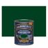 Peinture fer extérieur direct sur rouille finition lisse vert buisson 750 ml HAMMERITE