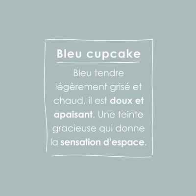 Peinture O'PUR Bleu Cupcake 75 ml - RIPOLIN