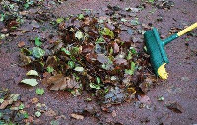 Balai à poils recourbés spécial extérieur PASSAT