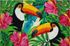 Tapis coco blanchi toucan 40 x 60 cm - ID MAT