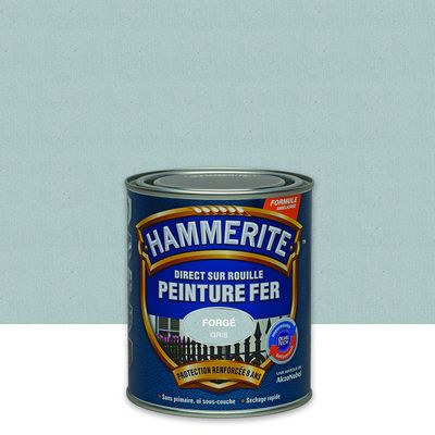 Peinture fer extérieur direct sur rouille finition fer forgé gris zinc 750 ml HAMMERITE