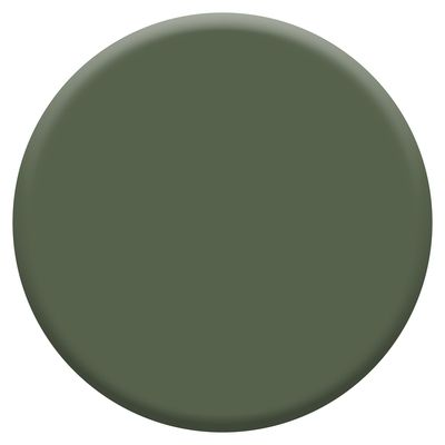 Peinture Boiseries Laque Acrylique Valénite Vert Tropical Satin 0,5 L - DULUX VALENTINE