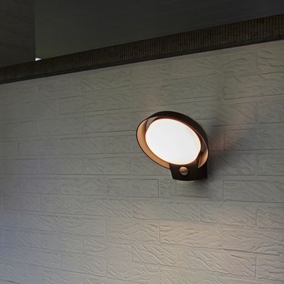 Applique murale extérieure LED avec détecteur de mouvements blanc chaud IP44 16W 1100 lumens anthracite - POLO COREP