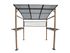 Abri pour barbecue en aluminium et acier graphite PROLOISIRS