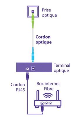 Cordon optique pour box fibre Free 3m SEDEA