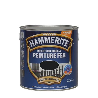 Peinture fer extérieure lisse brillant noir 250 ml - HAMMERITE