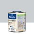 Peinture Intérieure Couleur - Satin - 0,5L - Gris Téléscope - RIPOLIN