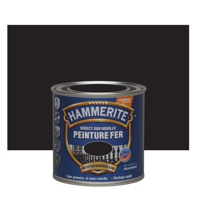 Peinture fer extérieure lisse brillant noir 250 ml - HAMMERITE