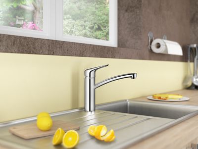 Robinet de cuisine Chrome Ecos M - HANSGROHE