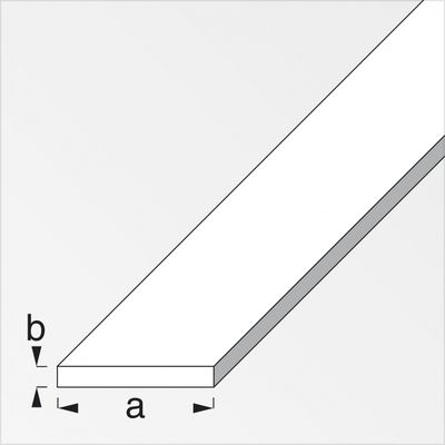 Profilé plat  aluminium anodisé 40 x 3 mm argent 1 m ALFER