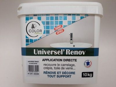 UNIVERSEL RENOV Gris Vert CHROME 10kg COLOR FRANCE