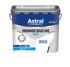 Peinture murs et plafonds monocouche blanc mat 5 l ASTRAL