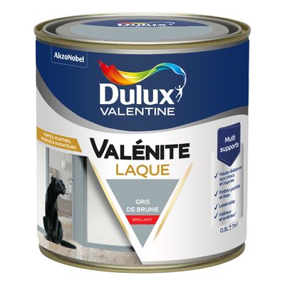 Peinture Boiseries Laque Acrylique Valénite Gris De Brume Brill 0,5 L - DULUX VALENTINE