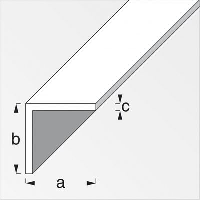 Cornière égale en PVC 25 x 25 mm blanc 2,5 m ALFER