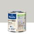 Peinture Intérieure Couleur - Satin - 0,5L - Gris Cétus - RIPOLIN