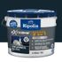 Peinture Façade-10L-Gris Anthracite - RIPOLIN