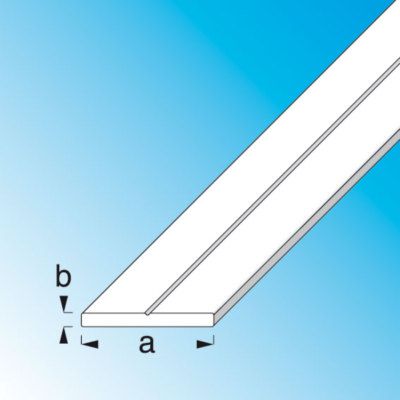 Profilé plat PVC blanc 15.5 x 2 mm 1 m ALFER