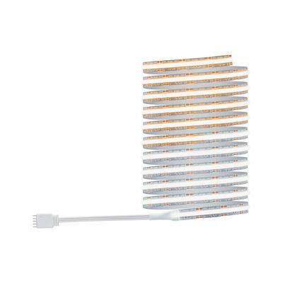 Ruban LED COB 3m prêt à l'emploi blanc dynamique 25W 24V MAXLED 1000 PAULMANN