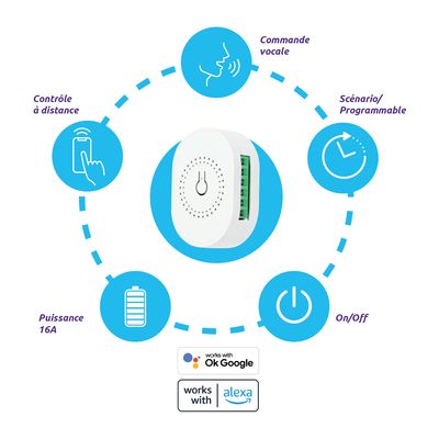 Module switch 16A WIFI pour éclairage SEDEA