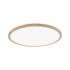 Plafonnier LED rond 420mm 4000K 22W IP44 ATRIA SHINE PAULMANN