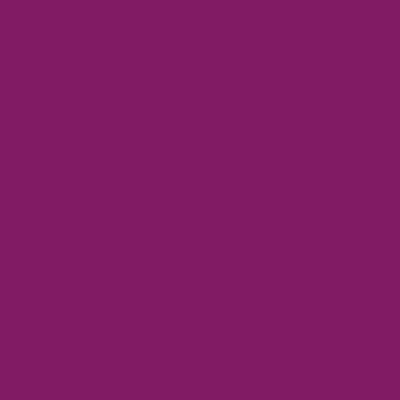 Testeur couleur Crème de Cassis 30 ml - DULUX VALENTINE