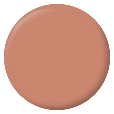 Peinture Intérieure Couleur - Mat - 0,5L - Ocre Nubie - RIPOLIN