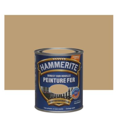 Peinture fer extérieur direct sur rouille finition martelé cuivre 750 ml HAMMERITE