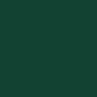 Peinture bois vert Basque RAL 6005 satin 500 ml JULIEN