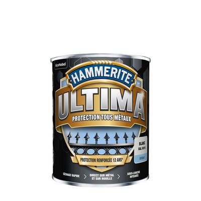 Peinture fer extérieure Ultima brillant blanc 2,5 l - HAMMERITE